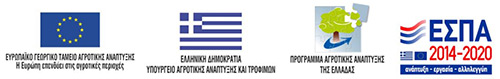 Πρόγραμμα ΕΣΠΑ
